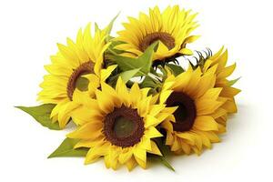 AI generated Sunflowers isolated on white background. AI Generated photo