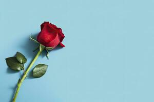 AI generated Red rose flower on blue background. Romantic Valentine's holiday concept. AI Generated photo