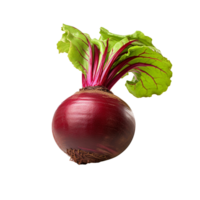 AI generated Beetroot slices png isolated on transparent background