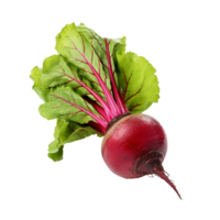 AI generated Beetroot slices png isolated on transparent background