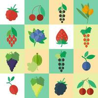 Berries square flat icons set vector