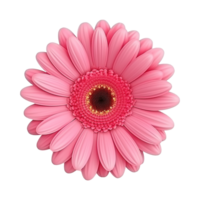 AI generated Gerbera flower isolated on transparent background png