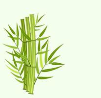 Vector green bamboo stems and leaves isolated on white background with copy space. Vector illustration in flat style