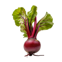 AI generated Beetroot slices png isolated on transparent background