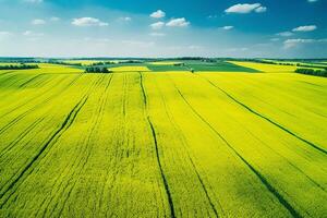 AI generated Aerial view with the landscape geometry texture of a lot of agriculture fields with different plants like rapeseed in blooming season and green wheat. Farming and agriculture industry. photo