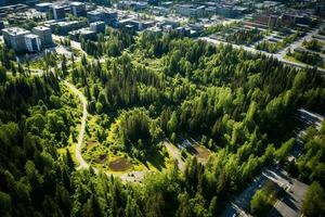 AI generated drone aerial birds eye view of a large green grass forest with tall trees and a big blue bendy river flowing through the forest photo