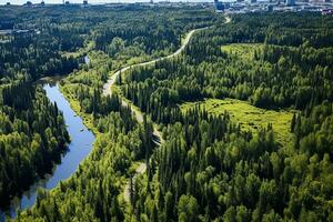 AI generated drone aerial birds eye view of a large green grass forest with tall trees and a big blue bendy river flowing through the forest photo