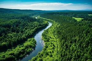 AI generated drone aerial birds eye view of a large green grass forest with tall trees and a big blue bendy river flowing through the forest photo