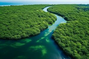 AI generated drone aerial birds eye view of a large green grass forest with tall trees and a big blue bendy river flowing through the forest photo