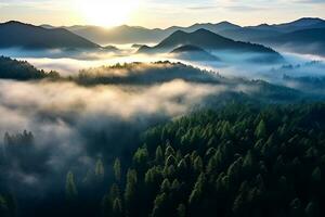 AI generated Aerial view of dark green forest with misty clouds. The rich natural ecosystem of rainforest concept of natural forest conservation and reforestation. photo