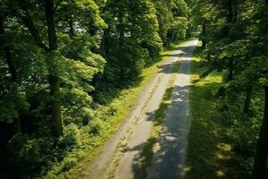 AI generated Aerial top view rural road in the forest, dirt road or mud road and rain forest, Aerial view road in nature, Ecosystem and healthy environment photo