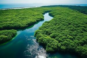 AI generated drone aerial birds eye view of a large green grass forest with tall trees and a big blue bendy river flowing through the forest photo