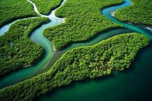 ai generado zumbido aéreo aves ojo ver de un grande verde césped bosque con alto arboles y un grande azul flexible río fluido mediante el bosque foto