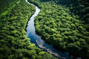 ai generado zumbido aéreo aves ojo ver de un grande verde césped bosque con alto arboles y un grande azul flexible río fluido mediante el bosque foto