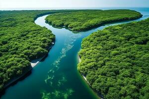 AI generated drone aerial birds eye view of a large green grass forest with tall trees and a big blue bendy river flowing through the forest photo