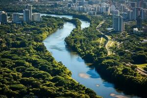 AI generated drone aerial birds eye view of a large green grass forest with tall trees and a big blue bendy river flowing through the forest photo