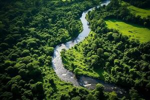 ai generado zumbido aéreo aves ojo ver de un grande verde césped bosque con alto arboles y un grande azul flexible río fluido mediante el bosque foto