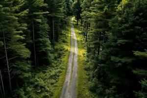 ai generado aéreo parte superior ver rural la carretera en el bosque, suciedad la carretera o barro la carretera y lluvia bosque, aéreo ver la carretera en naturaleza, ecosistema y sano ambiente foto