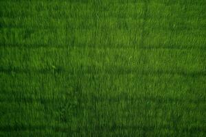 AI generated Perpendicular aerial view of green grass field photo