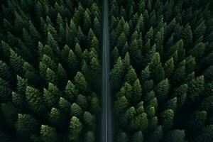 AI generated Aerial top view rural road in the forest, dirt road or mud road and rain forest, Aerial view road in nature, Ecosystem and healthy environment photo