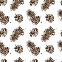 Pine branch and cone. Seamless pattern. Vector. Decor for winter sales, New Year cards, wrapping paper, textiles, invitations, flyers, tickets, covers. vector