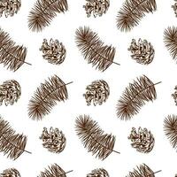 Pine branch and cone. Seamless pattern. Vector. Decor for winter sales, New Year cards, wrapping paper, textiles, invitations, flyers, tickets, covers. vector