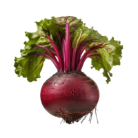 AI generated Beetroot slices png isolated on transparent background