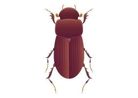 Scarabaeinae Beetle Vector Art isolated on White Background