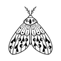 Celestial Butterfly Doodle Illustration. Hand Drawn Beautiful Line Art Butterfly Tattoo. This boho butterfly  are good for design of mystical project, card and poster making, decoration clothes, etc vector