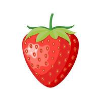 Ripe berry a wild strawberry on a white background. Vector illustration in flat style