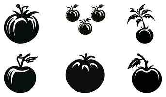 Farm-Fresh Tomato Vector Elements