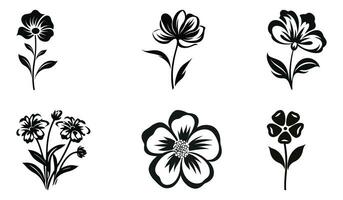 Botanic Elegance Collection vector