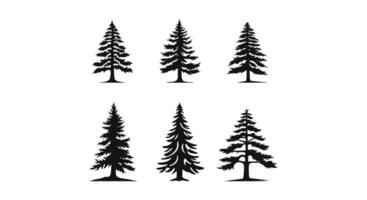 Pine Tree Silhouettes Bundle vector