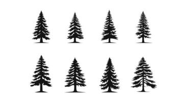 Sylvan Serenity  Vector Pine Trees