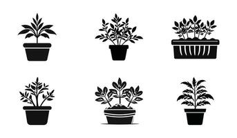 Natures Elegance  Diverse Plant Top Vector Set