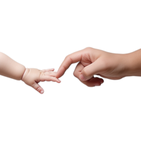 AI generated Hand holding baby hand isolated on transparent background png