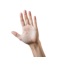 AI generated Hand isolated on transparent background png