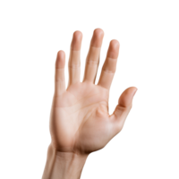 AI generated Hand isolated on transparent background png