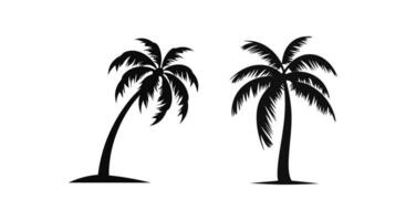 Sunset Palms Silhouette Pack vector