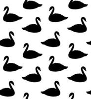 Vector seamless pattern of black swan silhouette