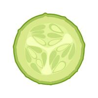 Fresh green cucumber slice vector