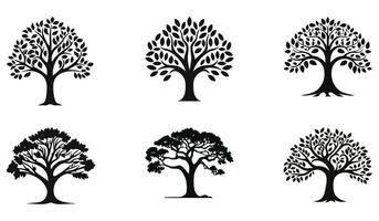 Eco Harmony  Tree Vector Bundle