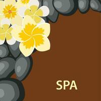 spa background with stones and flower. Vector illustration in flat style