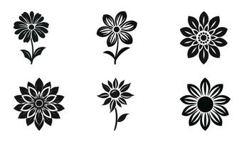 Blooming Botanical Bliss vector