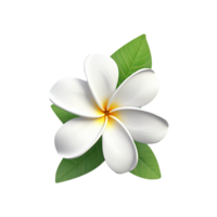 AI generated White plumeria flower png isolated on transparent background