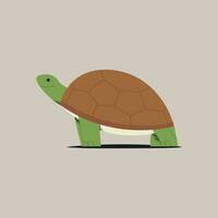 Turtle vector illustration in flat style. Tortoise on a gray background.