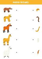 Match parts of cartoon cute South American animals. Logical game for children. vector