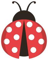 Cute ladybug icon isolated on a white background. vector