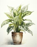 AI generated Watercolor potted houseplant isolated on white background. AI Generated photo