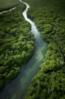 AI generated Aerial view of the Amazonas jungle landscape with river bend. Generative AI photo